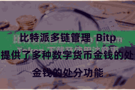 比特派多链管理  Bitpie钱包提供了多种数字货币金钱的处分功能