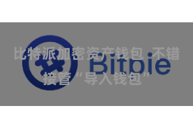 比特派加密资产钱包  不错接管“导入钱包”