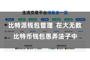 比特派钱包管理  在大无数比特币钱包愚弄法子中