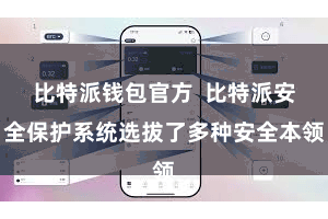 比特派钱包官方  比特派安全保护系统选拔了多种安全本领