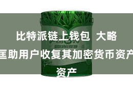 比特派链上钱包  大略匡助用户收复其加密货币资产