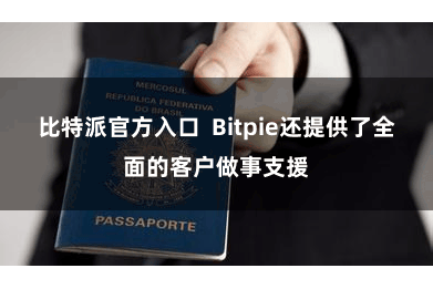 比特派官方入口  Bitpie还提供了全面的客户做事支援