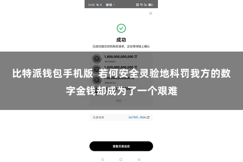 比特派钱包手机版  若何安全灵验地科罚我方的数字金钱却成为了一个艰难