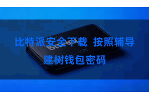 比特派安全下载  按照辅导建树钱包密码